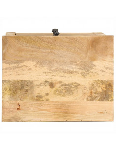 Comodino 45x35x60 cm in Legno Massello di Mango