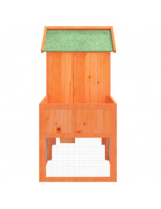 Conigliera Marrone 170x63x113 cm in Legno Massello di Pino