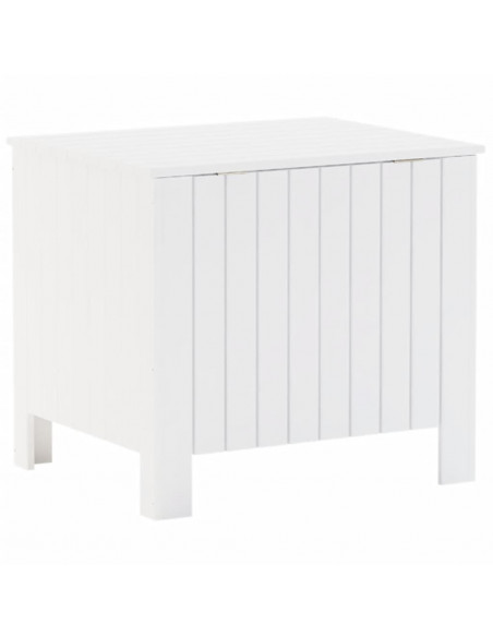 Contenitore con Coperchio RANA Bianco 60x49x54 cm Massello Pino