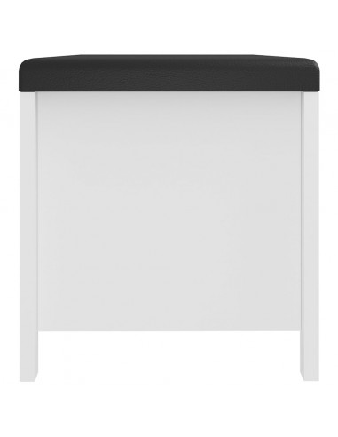 Contenitore con Cuscino Bianco 105x40x45cm Legno Multistrato