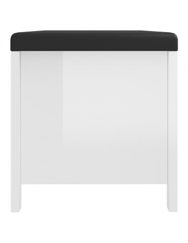 Contenitore con Cuscino Bianco Lucido 105x40x45cm Multistrato