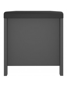 Contenitore con Cuscino Grigio 105x40x45cm Legno Multistrato