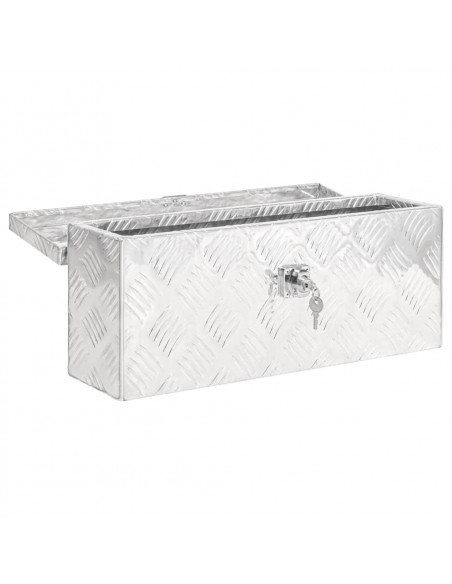 Contenitore Portaoggetti Argento 50 x 15 x 20,5 cm in Alluminio
