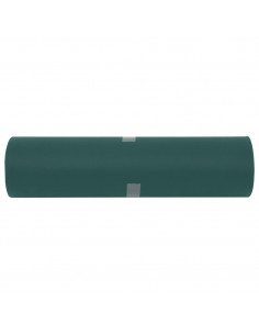 Copertura per Piante 2 Rotoli 70 g/m² 50x1,6 m