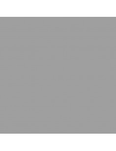 Copribidone con Ruote Bidone Singolo Grigio 72x81x115cm Acciaio