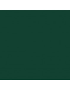Copribidone con Ruote Bidone Singolo Verde 72x81x115cm Acciaio