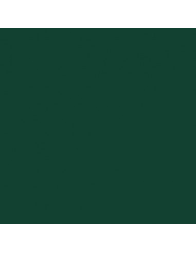 Copribidone con Ruote Bidone Singolo Verde 72x81x115cm Acciaio