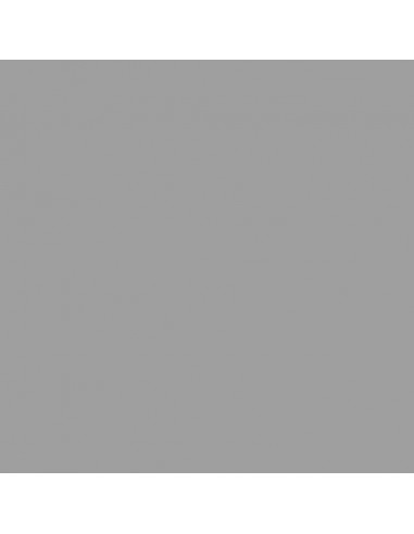 Copribidone con Ruote per 2 Bidoni Grigio 144x81x113 cm Acciaio