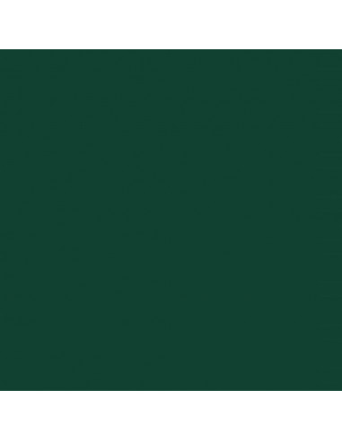 Copribidone con Ruote per 2 Bidoni Verde 144x81x113 cm Acciaio