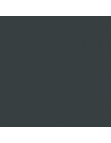 Copribidone Ruote per 2 Bidoni Antracite 144x81x113 cm Acciaio