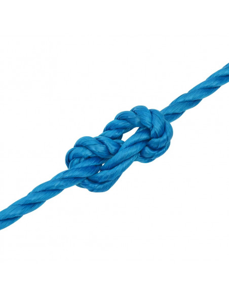 Corda da Lavoro Blu 12 mm 25 m in Polipropilene