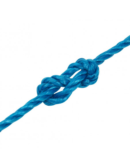 Corda da Lavoro Blu 3 mm 25 m in Polipropilene