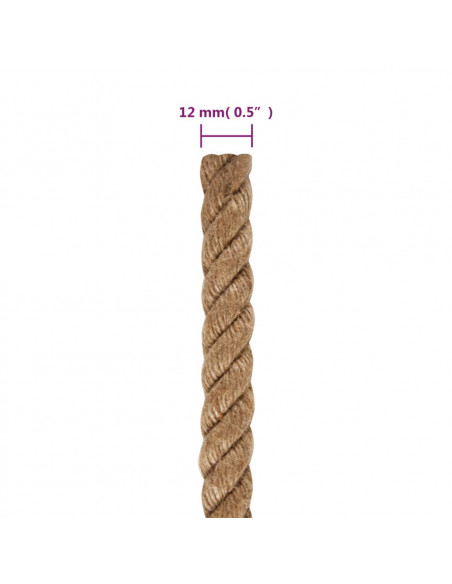 Corda in Juta Lunga 50 m Spessa 12 mm