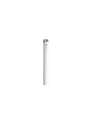 Tubo neon Osram T8 L58827