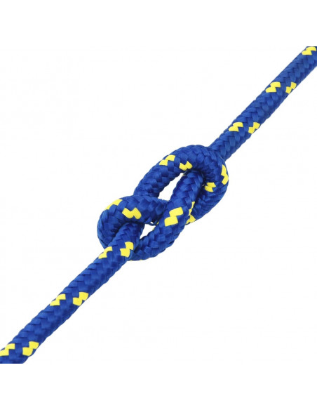 Corda per barca Blu 12 mm 25 m in Polipropilene