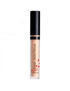 Correttore viso Diego Dalla Palma Geisha Lift Concealer 121
