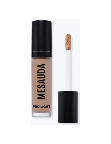 Correttore viso Mesauda Pro Light Concealer  Fluido W60