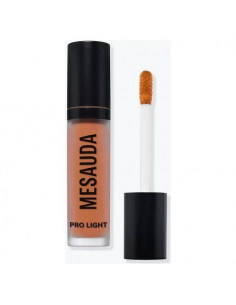 Correttore viso Mesauda Pro Light Concealer Fluido P01