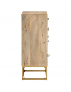 Credenza 55x30x76 cm in Legno Massello di Mango e Ferro