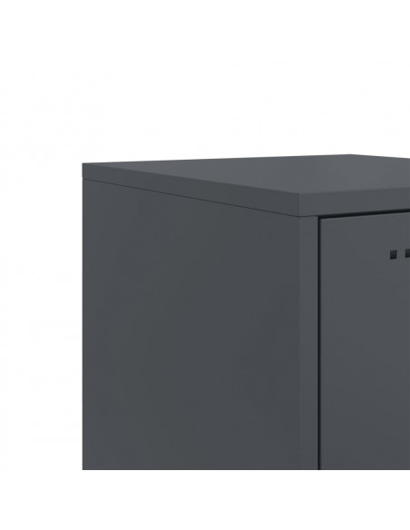 Credenza Antracite 36x39x123 cm in Acciaio