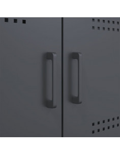 Credenza Antracite 68x39x113 cm in Acciaio