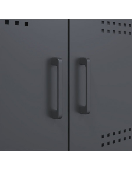 Credenza Antracite 68x39x113 cm in Acciaio