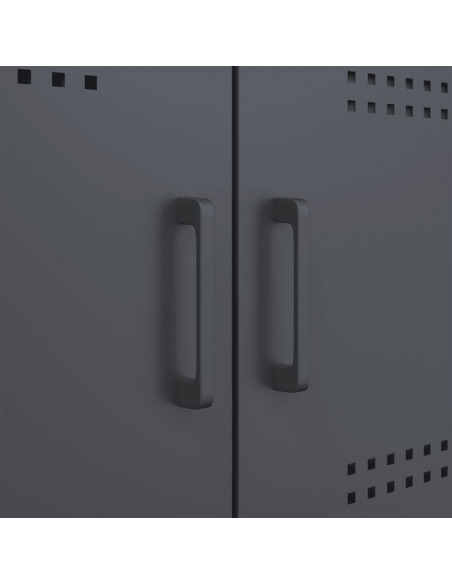 Credenza Antracite 68x39x113 cm in Acciaio