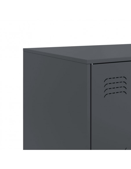 Credenza Antracite 99x39x73 cm in Acciaio