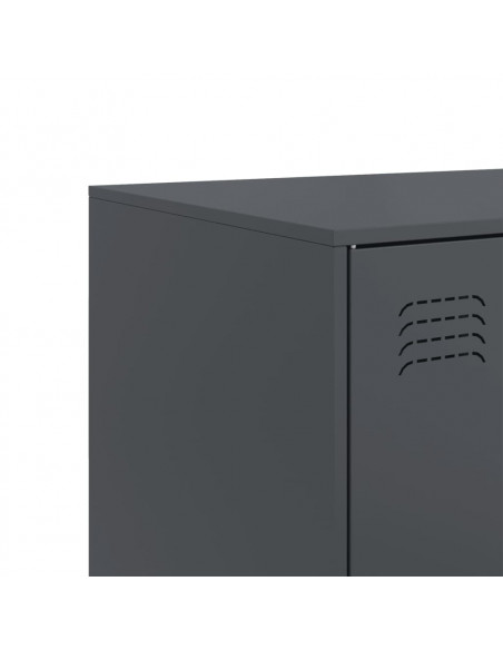 Credenza Antracite 99x39x73 cm in Acciaio