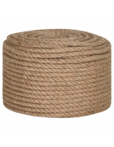 Corda in Juta Lunga 25 m Spessa 12 mm
