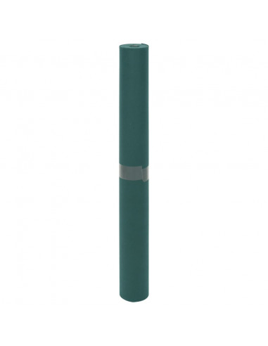 Copertura per Piante 70 g/m² 10x1,6 m