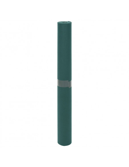 Copertura per Piante 70 g/m² 10x1,6 m