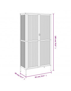 Credenza Nera 85x40x180 cm Vetro e Acciaio