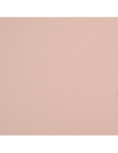 Credenza Rosa 68,5x38,5x123,5 in Acciaio