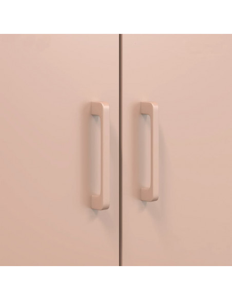 Credenza Rosa 68x39x113 cm in Acciaio
