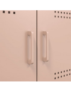 Credenza Rosa 68x39x113 cm in Acciaio