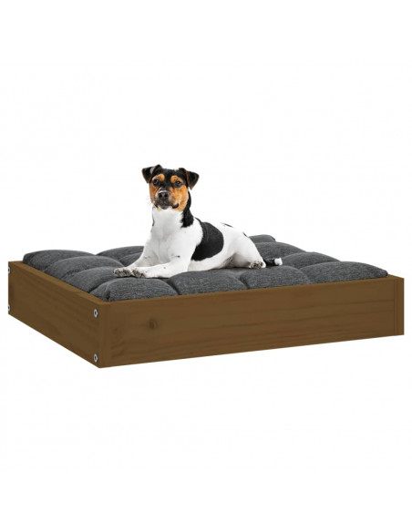 Cuccia per Cani Miele 51,5x44x9 cm in Legno Massello di Pino