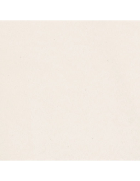 Cuscini Decorativi 2 pz beige 40x40 cm in Tessuto Microfibra