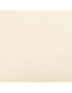 Cuscini Decorativi 2 pz Crema 40x40 cm in Velluto 2