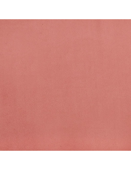 Cuscini Decorativi 2 pz Rosa 40x40 cm in Velluto