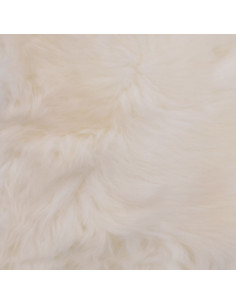 Cuscini per Sedie 2 pz Bianco 40x40cm in Vera Pelle di Montone 2