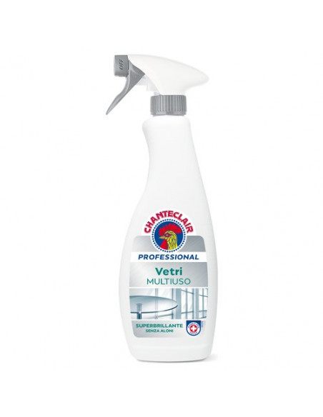 Detergente vetri Chanteclair 608920IT PROFESSIONAL Vetri Multiuso Hacc