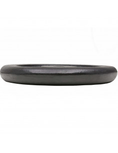 Dischi per Pesi 2 pz 2x15 kg in Ghisa 2