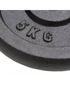 Dischi per Pesi 4 pz 4x5 kg in Ghisa 2