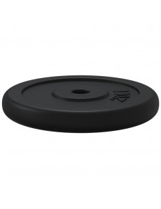 Disco per Pesi 20 kg in Ghisa 2