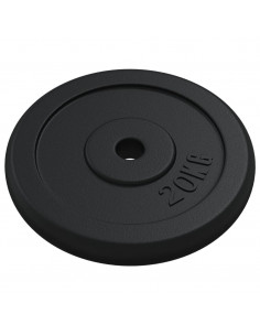 Disco per Pesi 40 kg in Ghisa 2