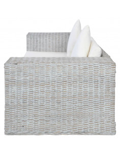 Divano a 2 Posti con Cuscini Grigio in Rattan Naturale