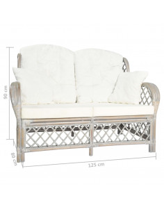 Divano a 2 Posti in Rattan Grigio