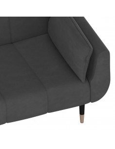 Divano Letto a 2 Posti con 2 Cuscini Grigio Scuro in Velluto 2