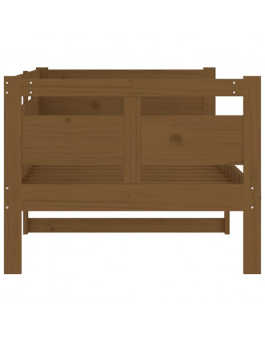 Dormeuse Miele in Legno Massello di Pino 80x200 cm